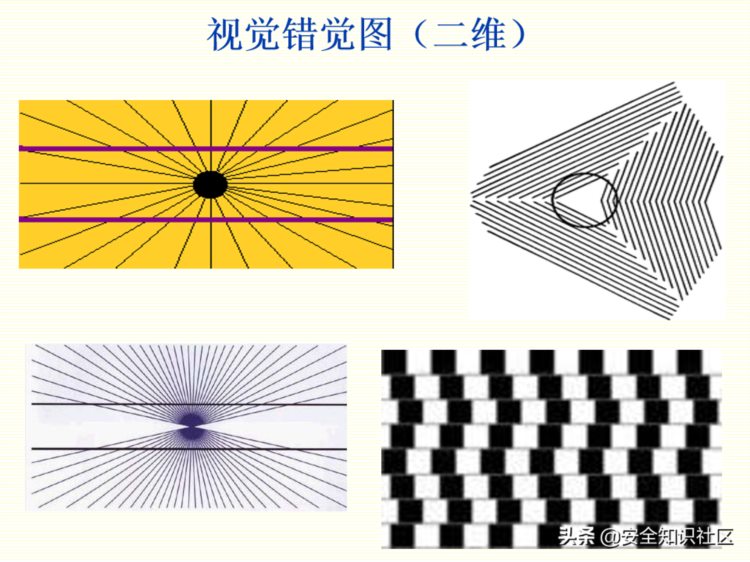 安全心理学培训教程