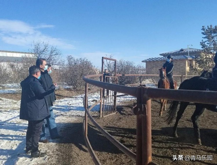 大陆马：新疆马业协会会长姚新奎为伊犁州马术人才培训班现场授课