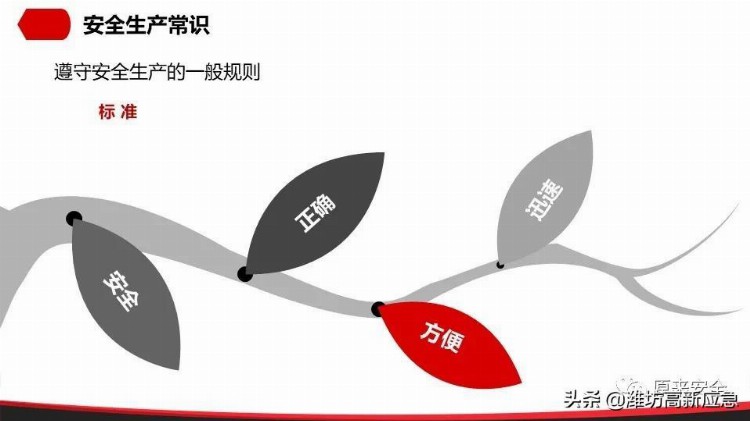 【PPT】公司级安全教育