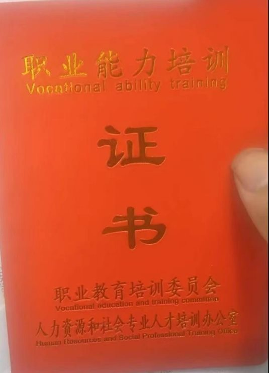 收纳整理师行业兴起，家政服务公司收取高额培训费，以高薪为诱饵制造新型骗局