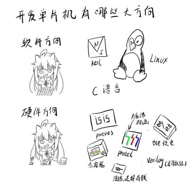 谁能教教我怎么学单片机，先学什么，怎么入门？