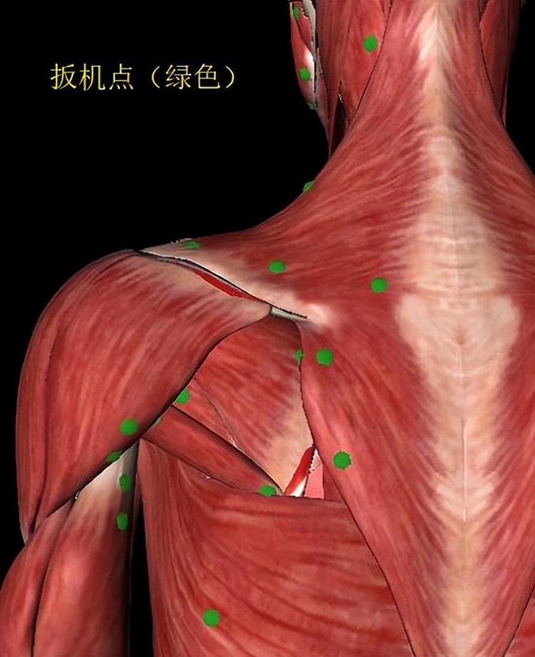 教你学按摩