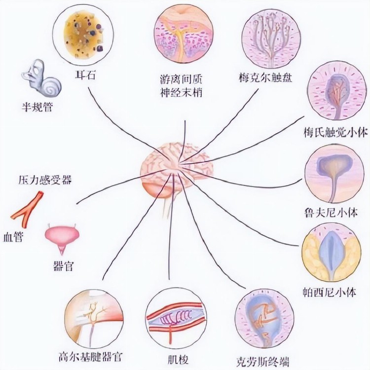 教你学按摩