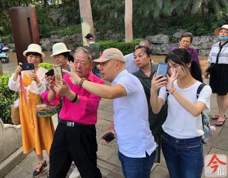 柳州举办文化生活培训班，教军休干部“玩转”手机摄影