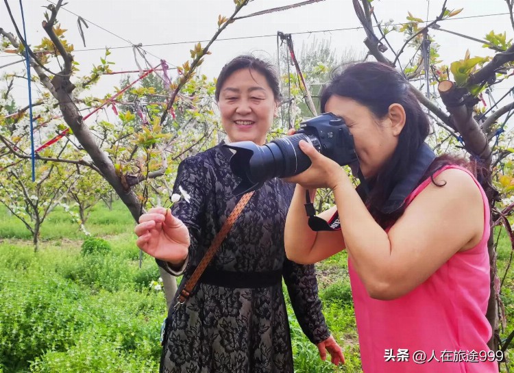 爱在春天--张店区房镇镇摄影学习班采风归来