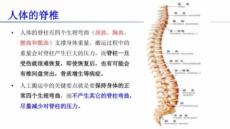 PPT下载：搬运作业中的安全 施工现场操作图集