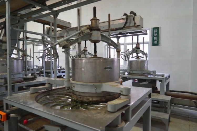 水城春邂逅台湾绿茶，这场春茶生产技术交流培训是真妙