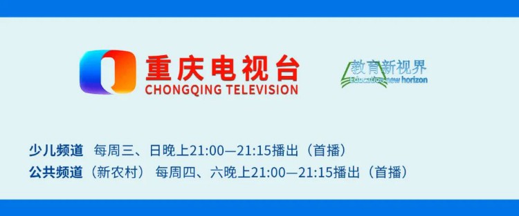 新心相遇 沐光同行——璧山永嘉实验小学新教师培训·班级管理