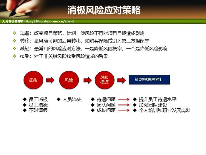 IT项目管理培训-风险管理和采购管理