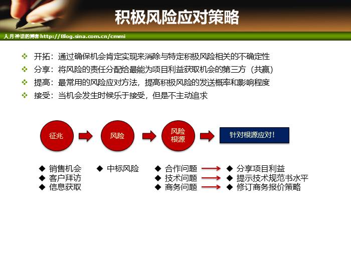 IT项目管理培训-风险管理和采购管理