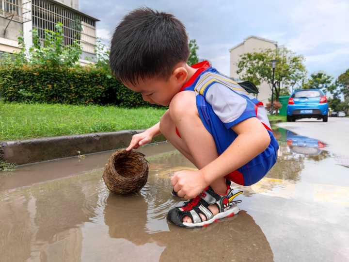 不花钱上培训班，巧用游戏、玩具、图书，就能培养孩子的逻辑思维