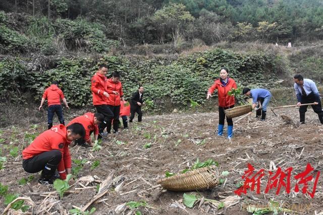 “耕耘”仁里冲——省委党校中青班学员溆浦体验式培训侧记