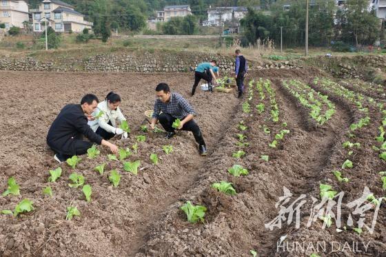 省委党校中青班学员到慈利开展“驻村入户体察民情”体验式培训