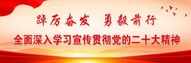 【“三抓三促”进行时】杨店镇圆满举办学习贯彻党的二十大精神培训班