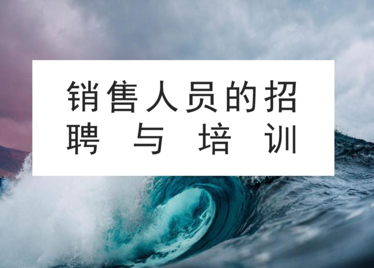 成品推销质量决定了企业发展速度：89页销售人员招聘与技巧培训