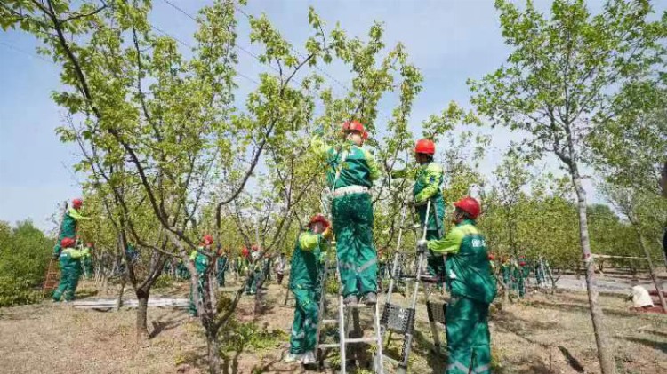 北京市园林绿化行业职工职业技能培训开班