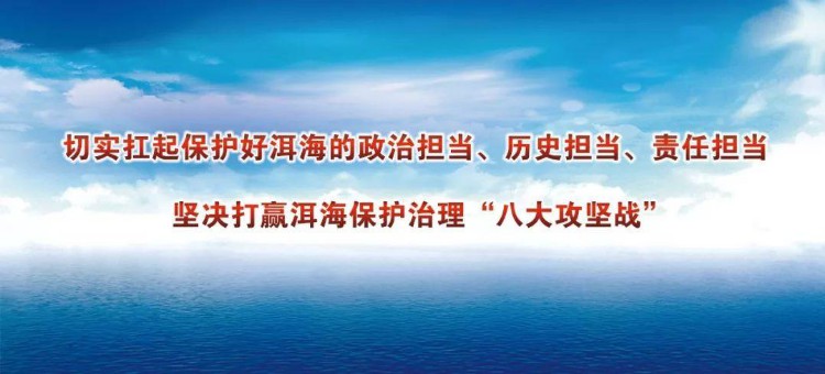 远离非法培训机构，就看这张大理市校外培训机构白名单！