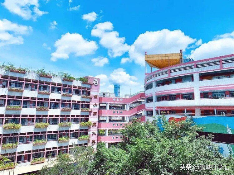 深圳热门且难进的小学，有你家附近的吗？