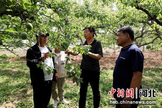 河北顺平：实用技术培训助力残疾人就业创业