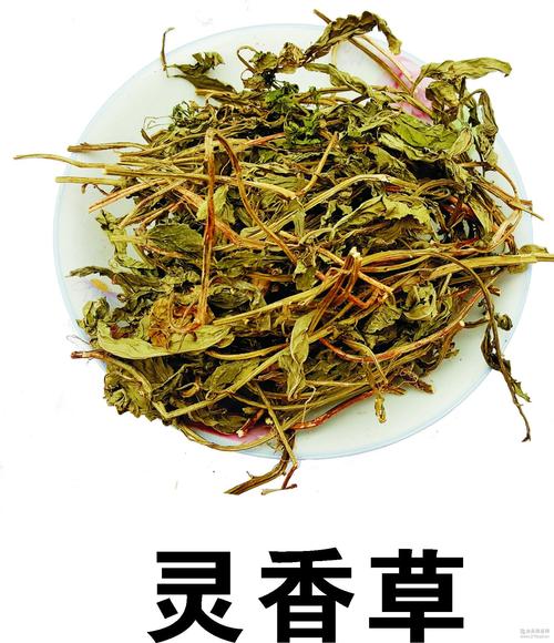 卤起源卤菜培训：给学员讲卤水三草，用好三草，卤菜百吃不腻