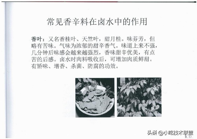 川式香辣油卤培训讲义，当初用了3千大洋学来的，挺值得学习的