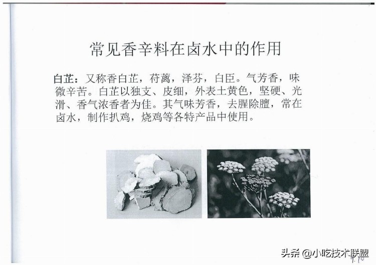 川式香辣油卤培训讲义，当初用了3千大洋学来的，挺值得学习的