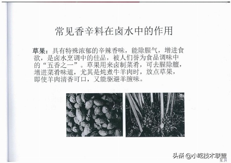 川式香辣油卤培训讲义，当初用了3千大洋学来的，挺值得学习的