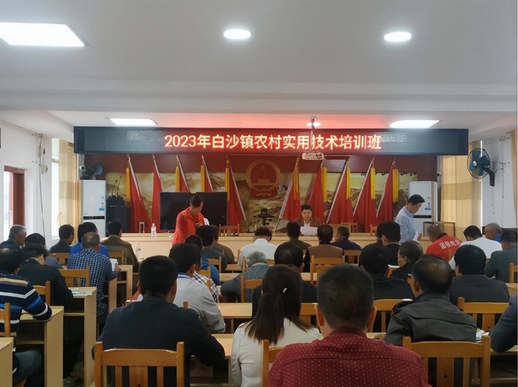 2023年桂平市白沙镇举办农村实用技术培训班