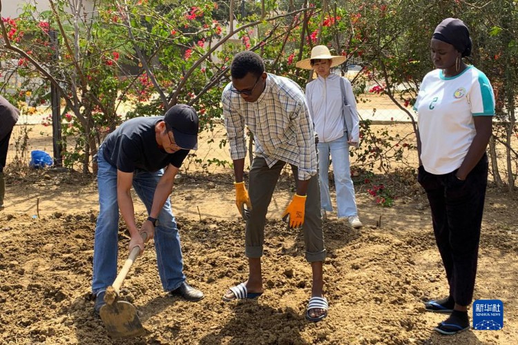 通讯：“汉语 农业技术培训”助力塞内加尔农技人才培养