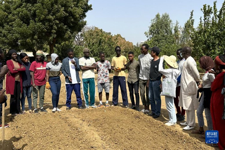 通讯：“汉语 农业技术培训”助力塞内加尔农技人才培养