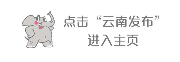 【提醒】事关校外培训！这份消费提示请查收→