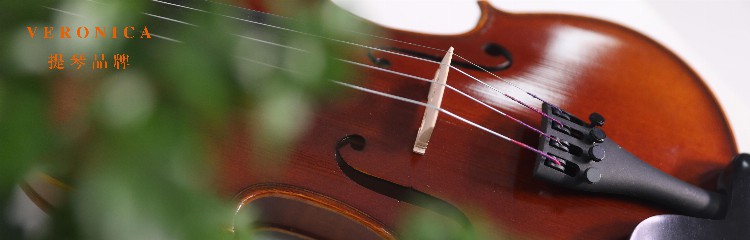 学小提琴将来能从事哪些工作呢？
