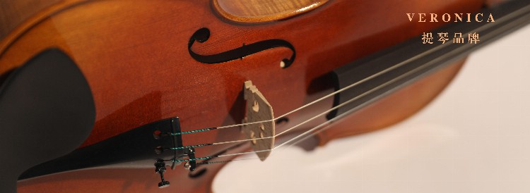 学小提琴将来能从事哪些工作呢？