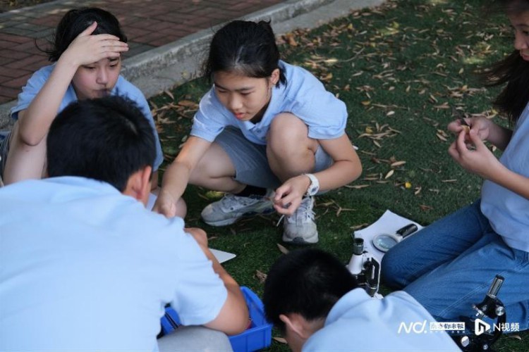 十二年一贯制！广外大名师领衔的广外外籍人员子女学校招新！