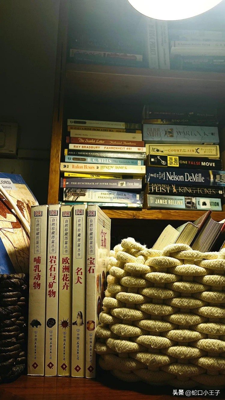 蛇口这家破书店，凭什么全深圳出名？