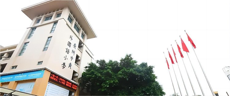 收藏！广州国际学校办学情况一览！