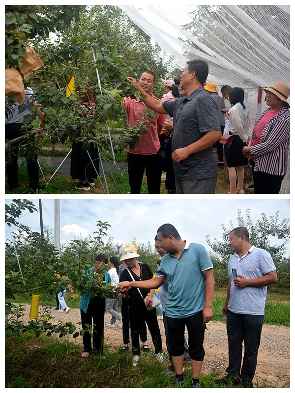 武山县果业发展中心举办2021年高素质农民培育项目（经营管理型）果业种植培训班