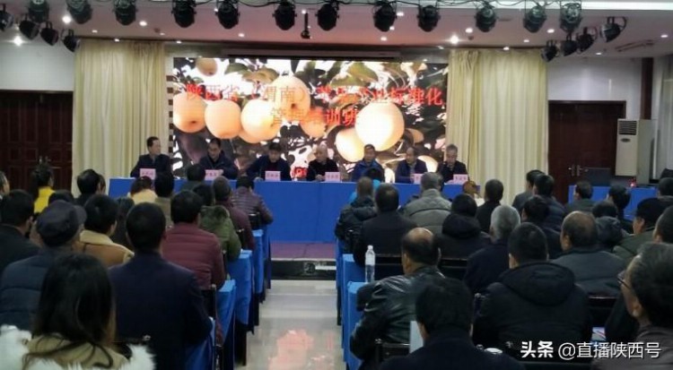 陕西省苹果产业标准化管理培训在渭南富平举办