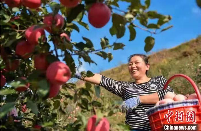 甘肃创“静宁果农”劳务品牌：让农民工成为有职称的技工