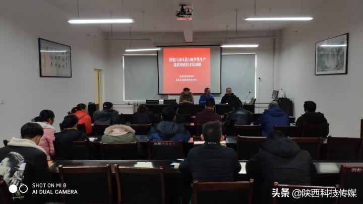 “智惠行动”凤县山地苹果提质增效技术培训班举行
