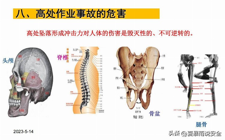 【危险作业】高处作业安全培训课件3