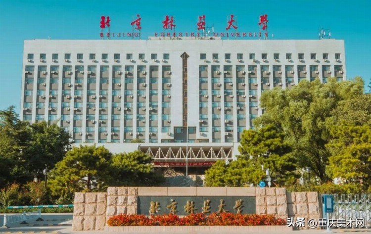 【热门211】北京林业大学2023艺术类专业招生简章，附2022录取线