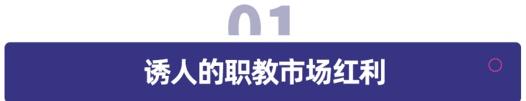 985、211不香了？互联网大厂纷纷成立职业技术培训学校