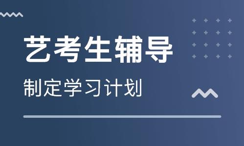 艺术生如何选择文化培训机构？良心建议请拿好！