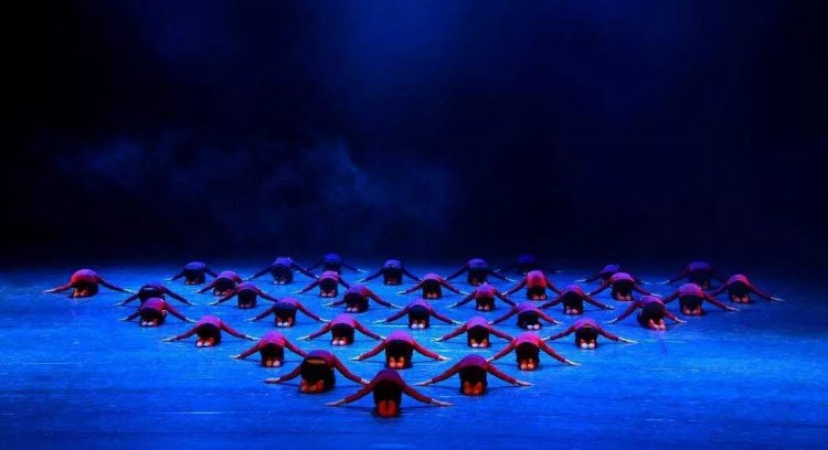 【气质】厦门首个少儿芭蕾舞团即将诞生！