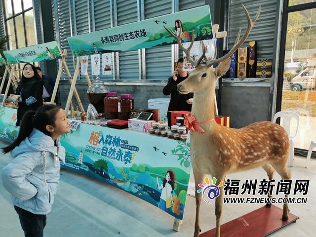 2019福州市森林旅游节举行 永泰“森”呼吸之旅引客来