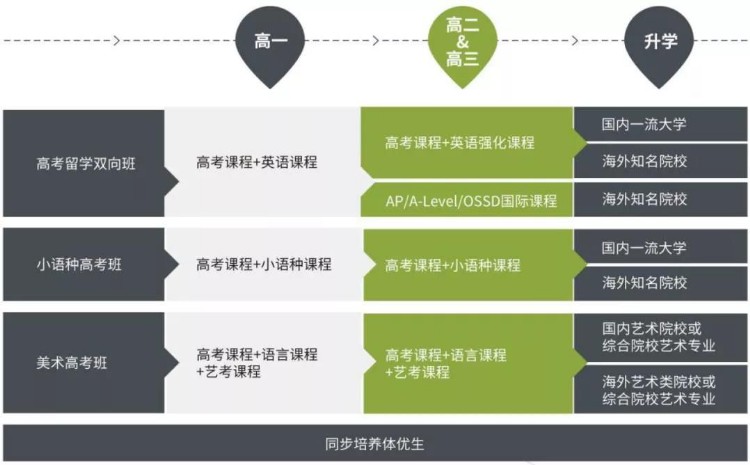 美术高考\小语种高考\高考留学双向-新府学特色高考班开启咨询