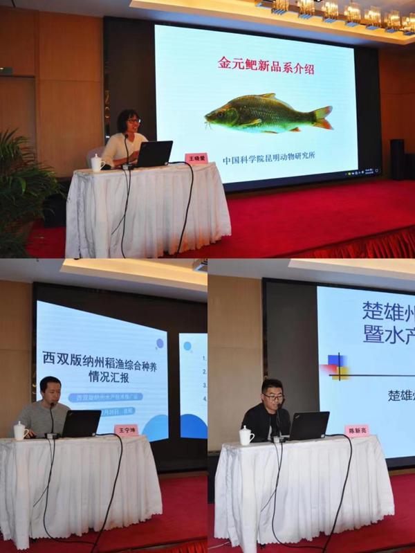 云南省水产技术推广站在昆明成功举办2023年云南省稻渔综合种养暨水产绿色健康养殖培训