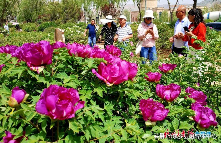 根植文化热土 凝聚精神力量——临夏州文化事业发展综述