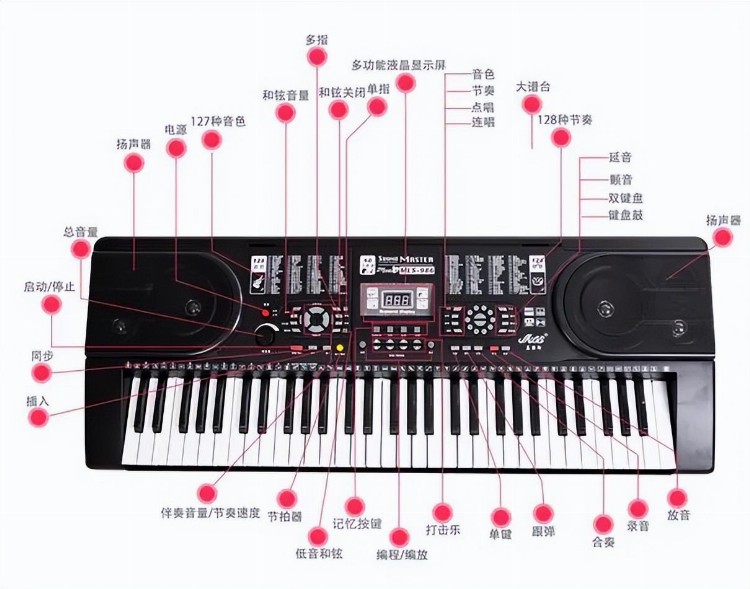 怎么学电子琴